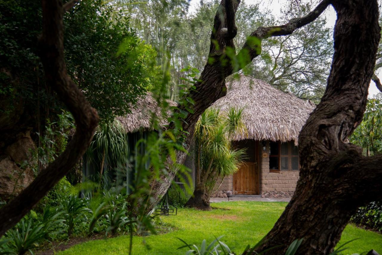 Nirvana Restaurant & Retreat Hotel San Miguel de Allende Exterior photo